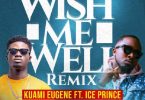 Kuami Eugene Wish Me Well (Remix) Artwork