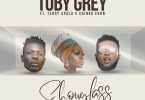 Toby Grey Show Glass (Remix) Artwork