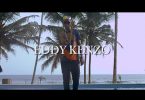 Eddy Kenzo Nanzili Video