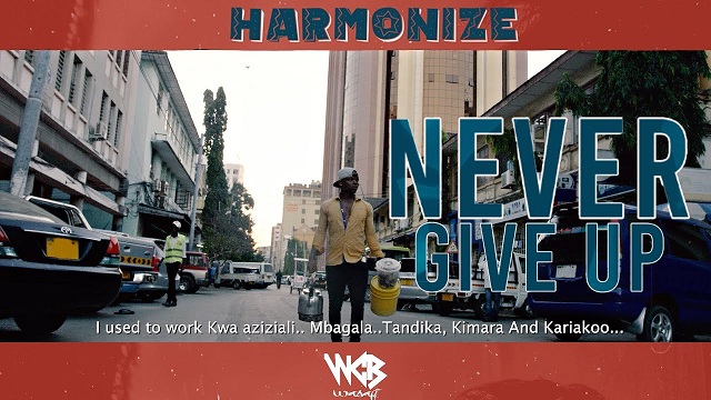 Harmonize Never Give Up Video
