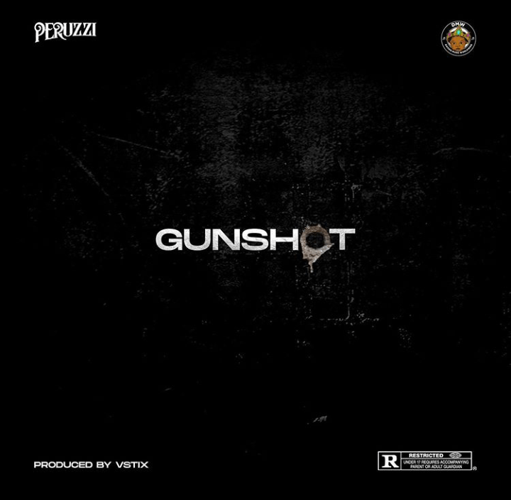 Peruzzi – Gunshot