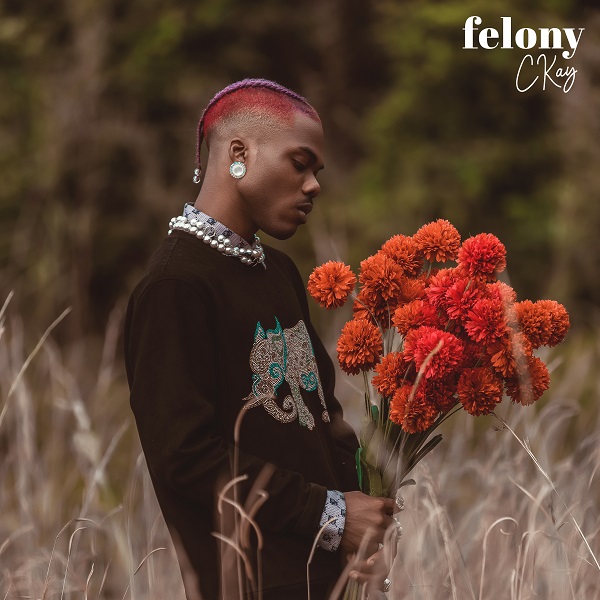 Ckay – Felony