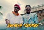 Alikiba – Bwana Mdogo ft. Patoranking (Video)