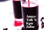 Oladips Anaye Toh N Kpo Zobo
