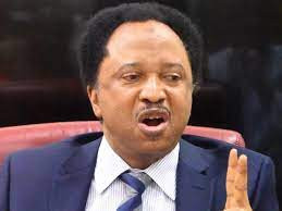 All the President needs to do is direct the finance minister to release funds needed to address the issues - Shehu Sani reacts to Buhari?s two weeks ultimatum to education minister to resolve ASUU strike