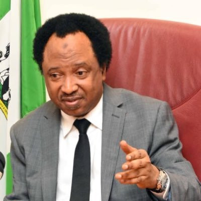 The killing of Catholic priests in Kaduna and North West region is becoming systemic - Shehu Sani 