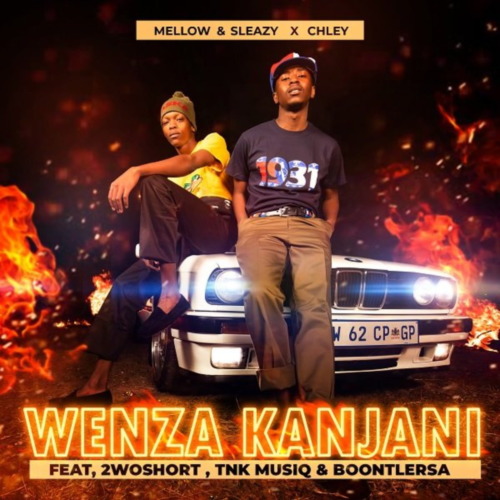 Mellow & Sleazy – Wenza Kanjani ft. Chley, 2woshort, TNK MusiQ & Boontle RSA