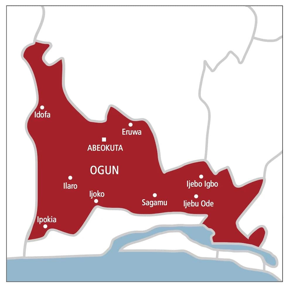 Ogun teenager arrested for having sex with a goat