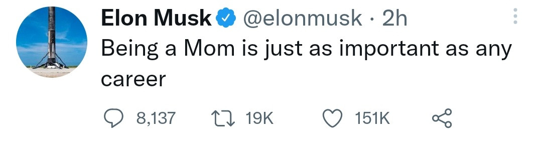Being a mom is as important as any career - Elon Musk