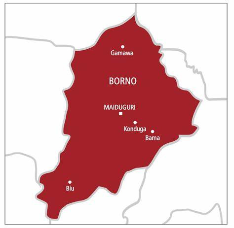 15 persons drown in Borno river