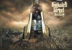 Portable – Anikuleti Street Don Jazzy (Album)